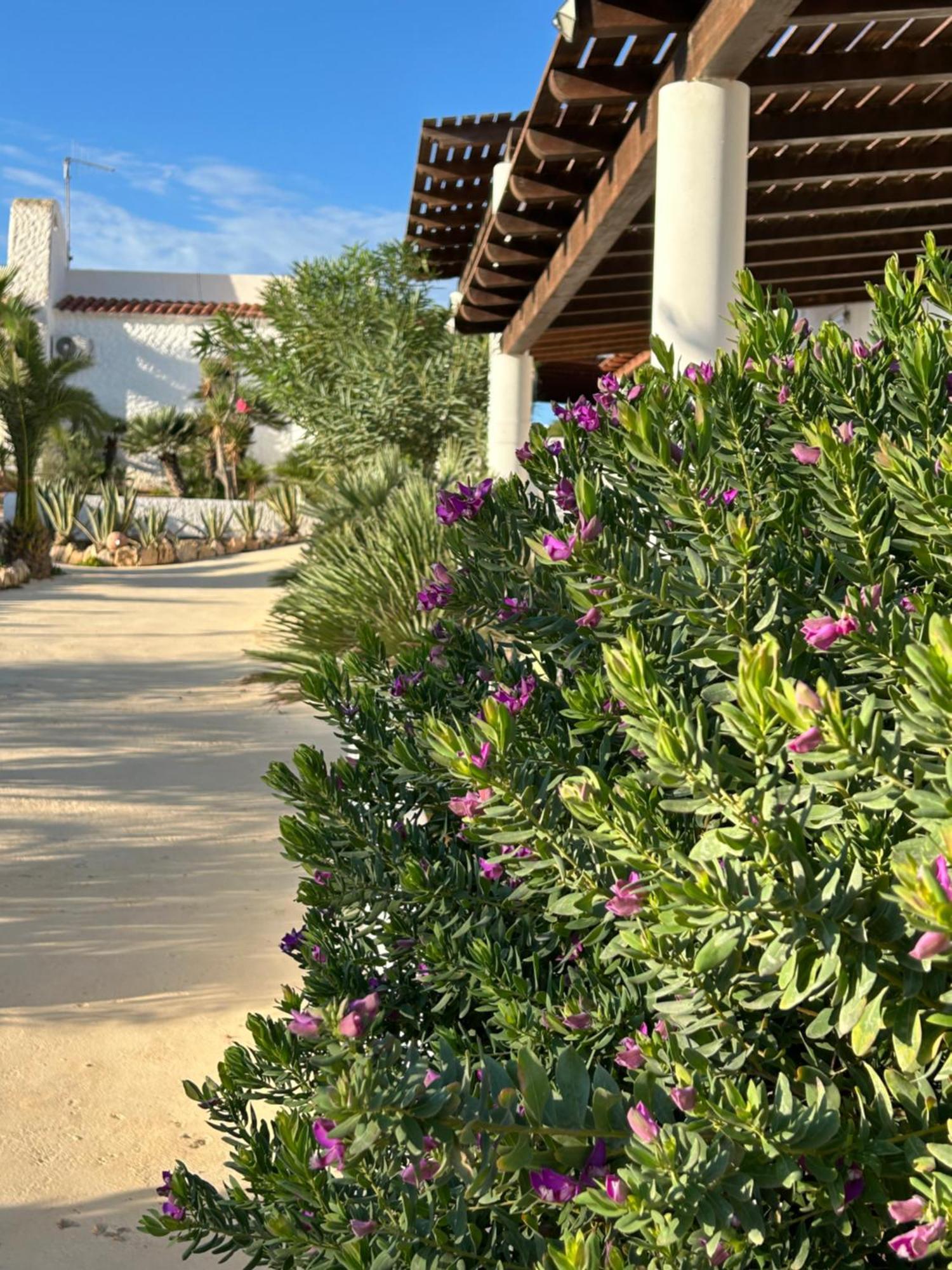 Hotel Oasi Di Casablanca Lampedusa Exterior foto