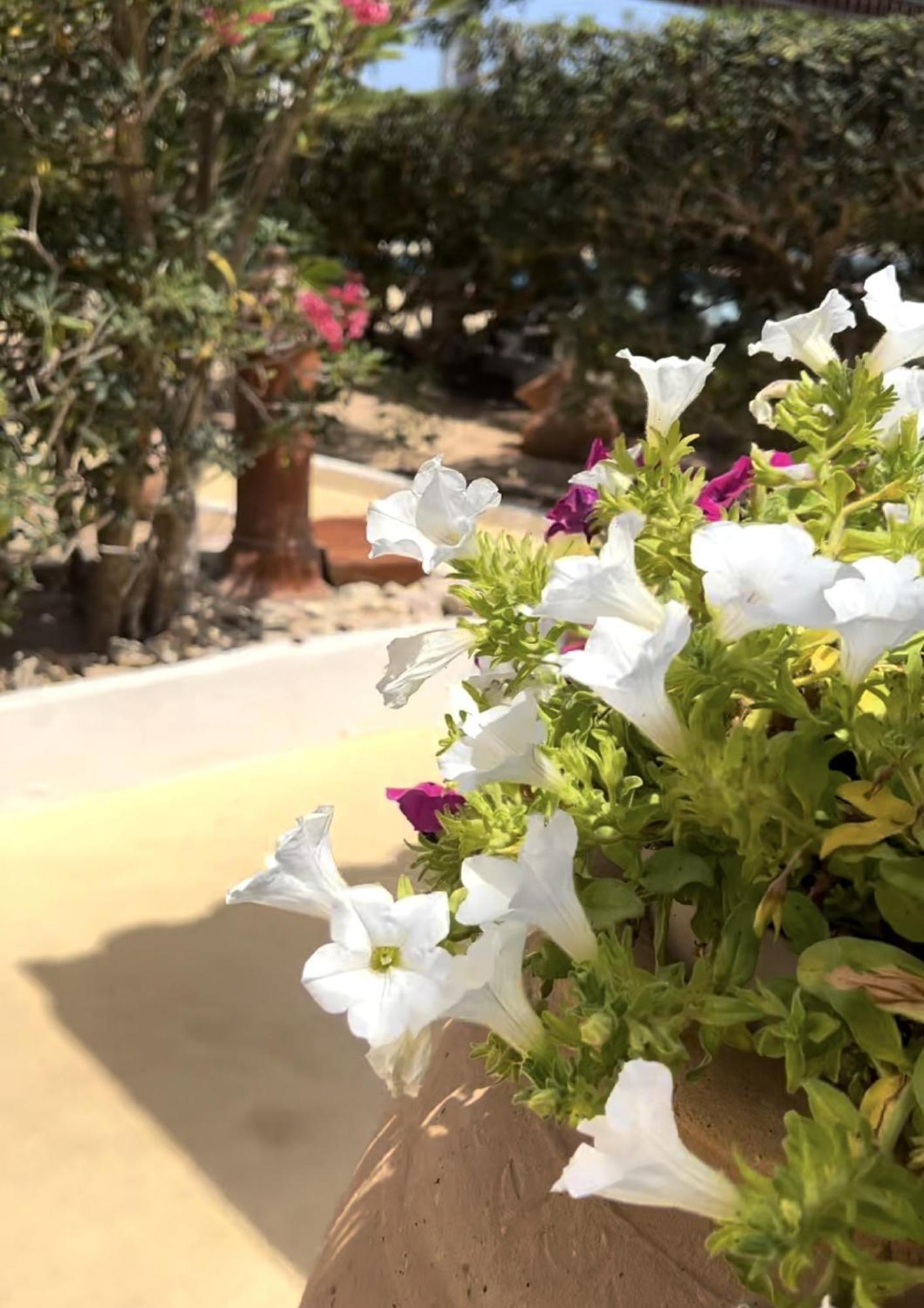 Hotel Oasi Di Casablanca Lampedusa Exterior foto